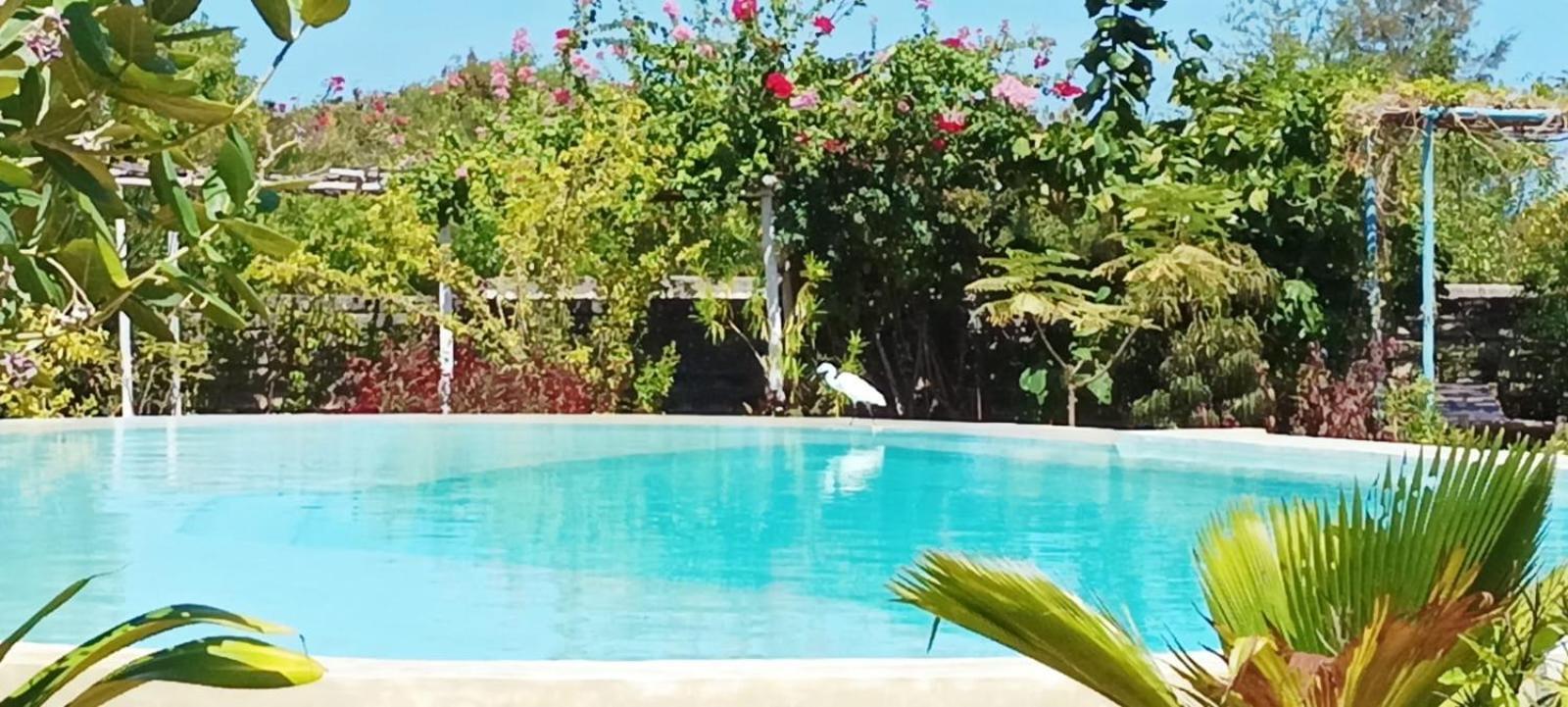 Matemwe Ocean View Villas Exterior foto